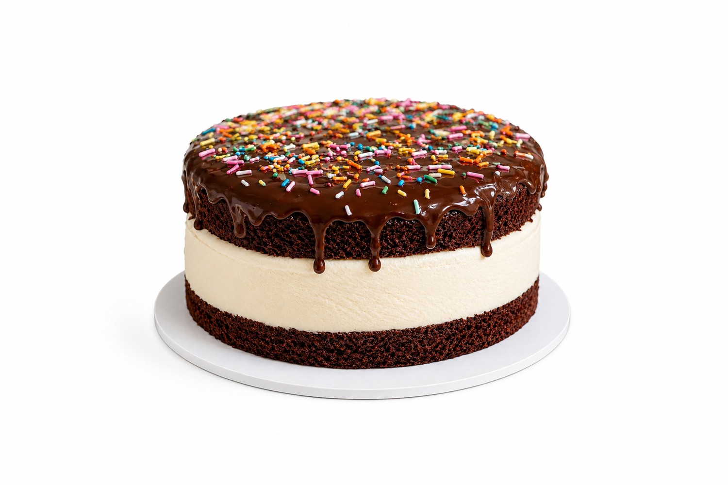 Chocolate Ice Cream Cake
